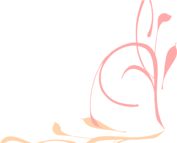 Flourish Clipart Fancy Lace - Flourish Clipart Fancy Lace (640x480)