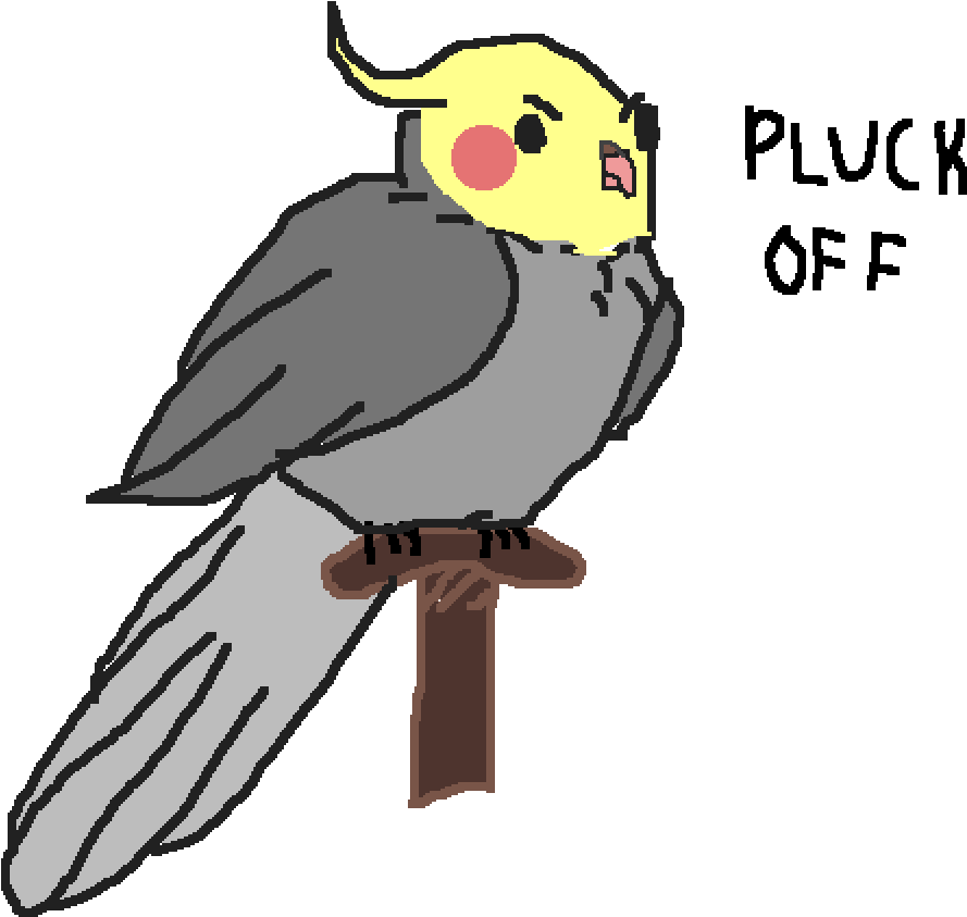 Clip Transparent Birb Drawing Cockatoo - Cockatiel (1000x1000)