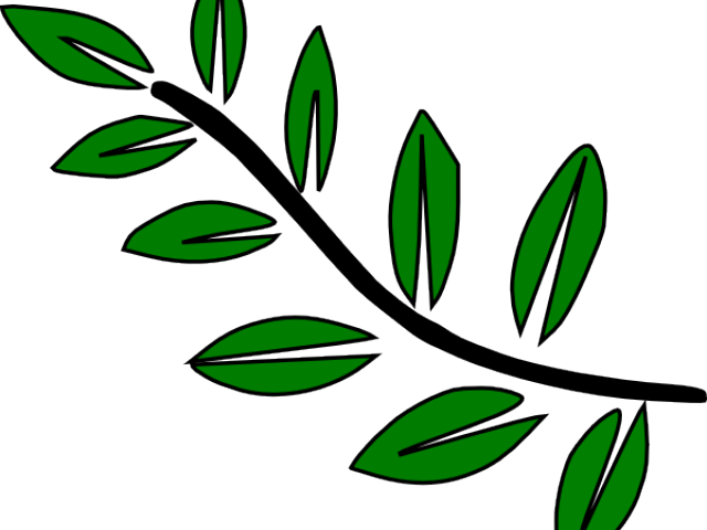 Green Leaves Clipart Leaf Stem - Stem With Leaves Clipart (640x480)