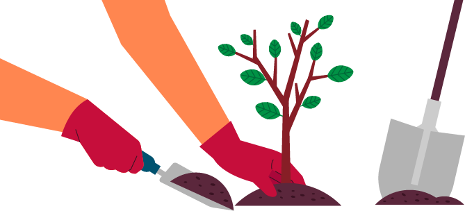 669 X 304 2 - Tree Planting Clipart Png (669x304)