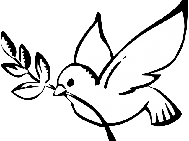 White Dove Clipart Peace - Peace Dove (640x480)