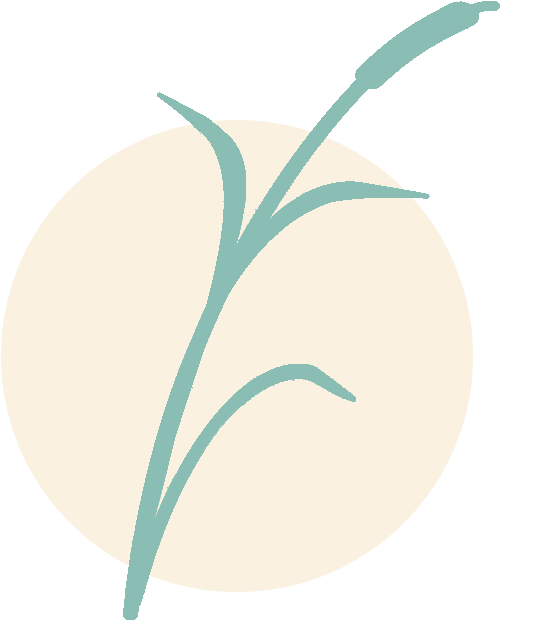 2017 Apple Valley Assisted Living, All Rights Reserved - Illustration (620x620)