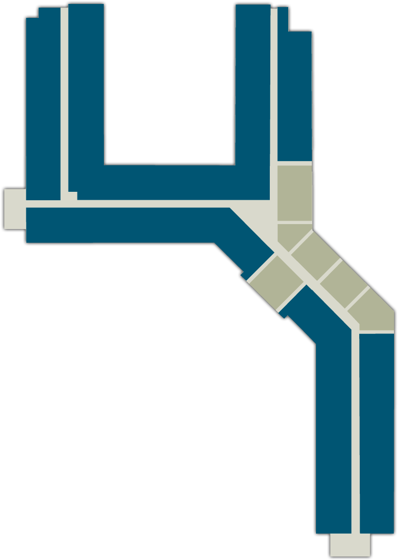 Independent Living Apartment Homes - Independent Living Apartment Homes (932x1212)