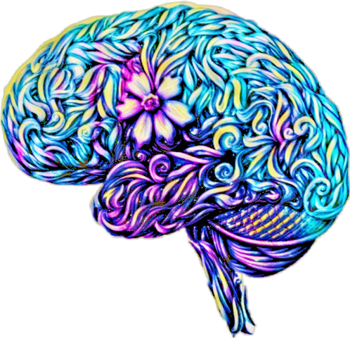 Artistic Brain Drawing (498x480)
