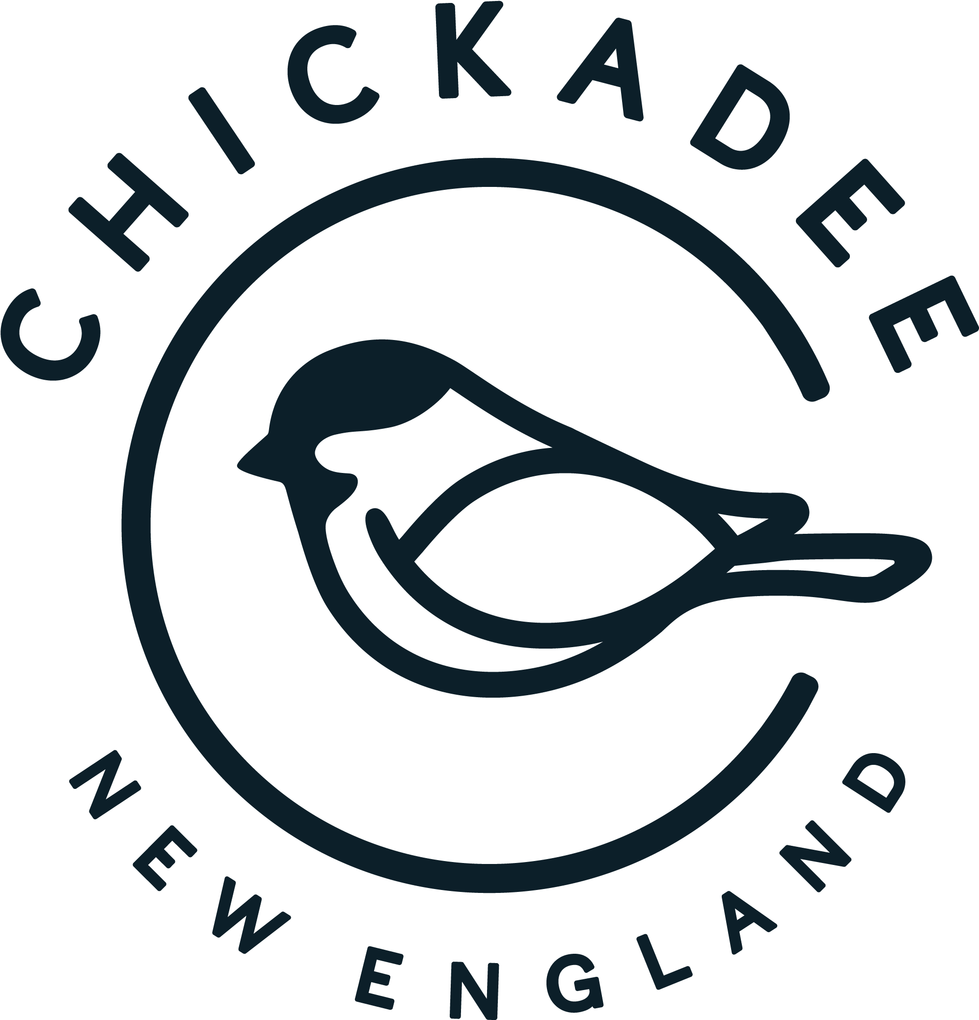 New Year's Eve At Chickadee - Irish Drinking Team (2000x2087)