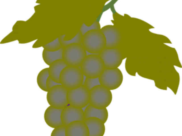 Grape Clipart Cluster - Bunch Of Grapes Clipart (640x480)