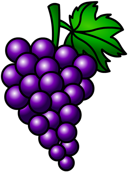 Grapes Fruit Cluster - Racimo De Uvas Moradas (1280x590)
