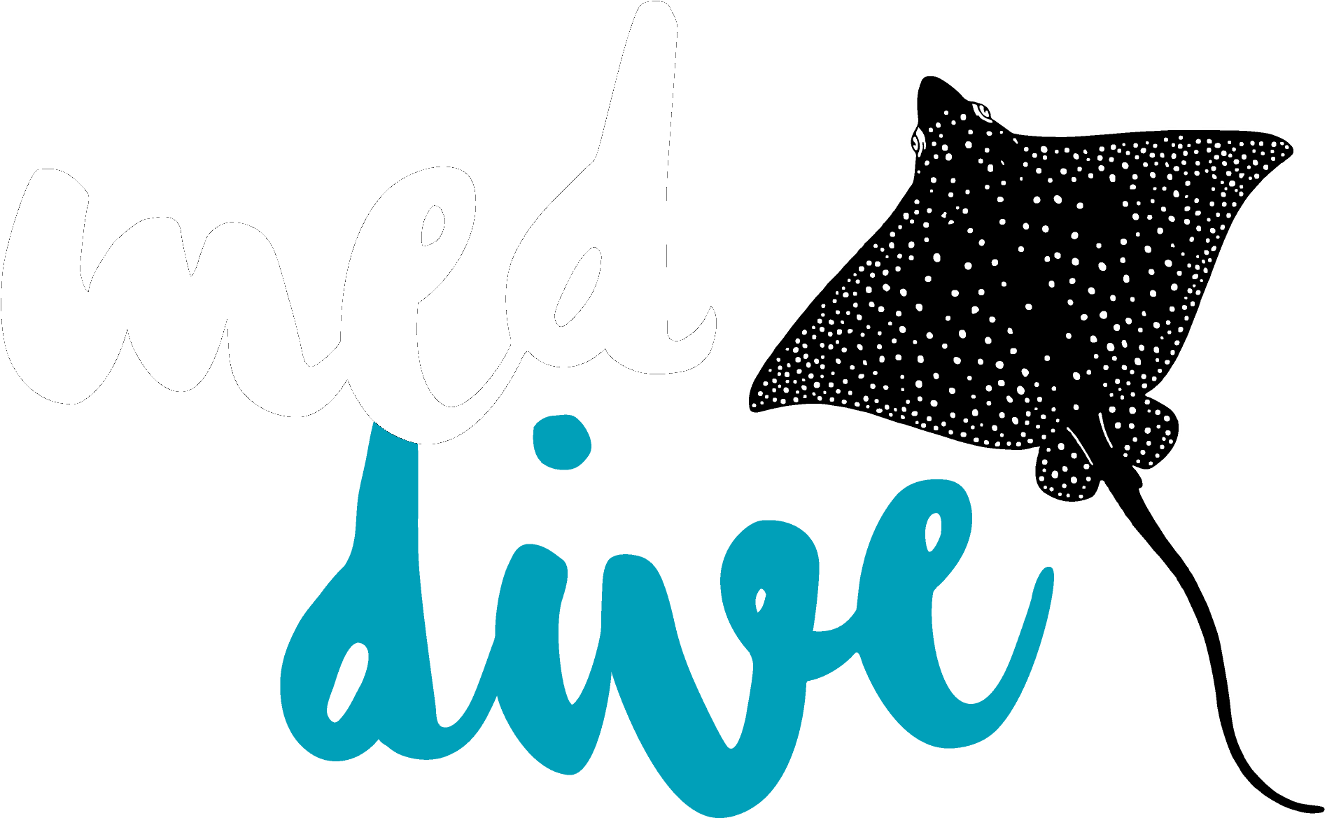 Envíanos Un E-mail - Envíanos Un E-mail (1914x1220)