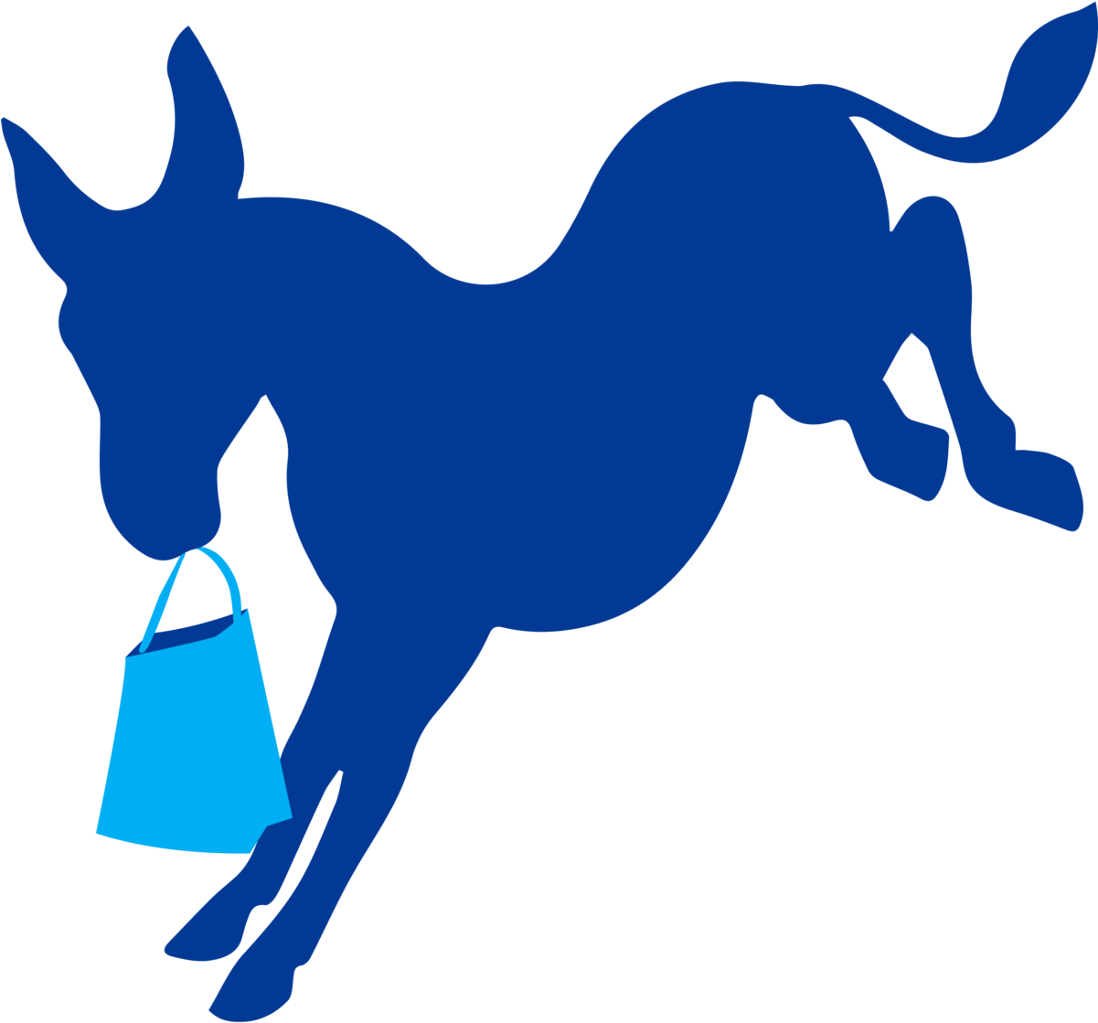 Republican And Democratic (1200x1200)