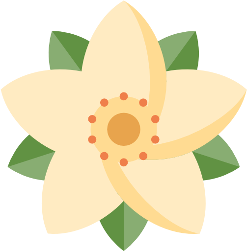 Poinsettia Free Icon - Illustration (512x512)