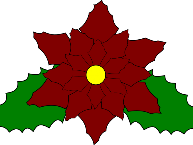 Poinsettia Clipart Svg - Poinsettia Pattern (640x480)