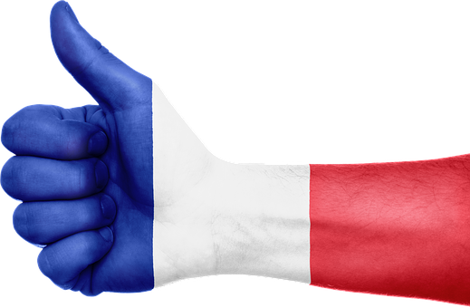 France, Flag, Hand, French, Patriotic - France Flag Hand Png (519x340)