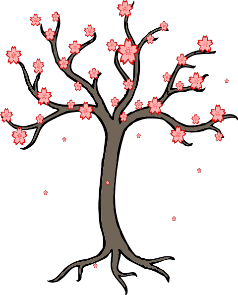 Cartoon Tree Branch Drawing (480x595)