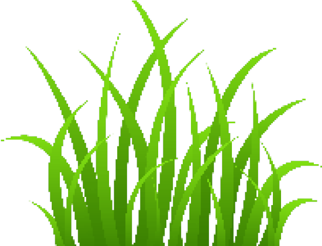 Dry Grass Clipart Wispy - Grass Clipart (640x480)