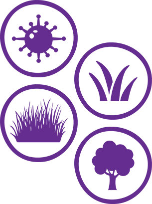 You Can Also Opt For Non-sedative Antihistamines Like - Medio Ambiente (305x409)