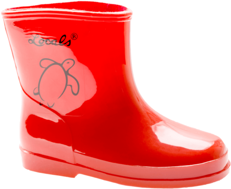 Rain Boot (600x450)