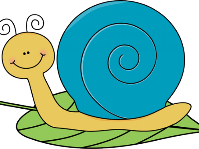 Mollusc Clipart New Years Eve - Transparent Snail Clipart (640x480)