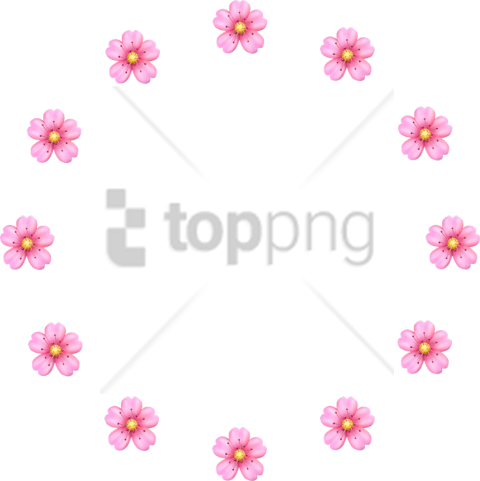 Free Png Download Pink Flower Flowers Transparent Png - Cosmos (480x481)