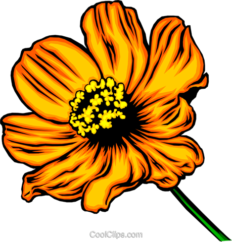 Flor Laranja Livre De Direitos Vetores Clip Art Ilustração - Fun Facts About Parts Of A Flower (459x480)