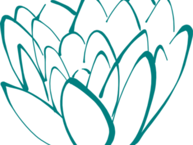 Lotus Clipart Teal - Lotus Flower Clipart (640x480)