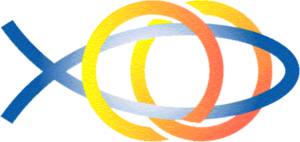 Teams Of Our Lady (620x294)