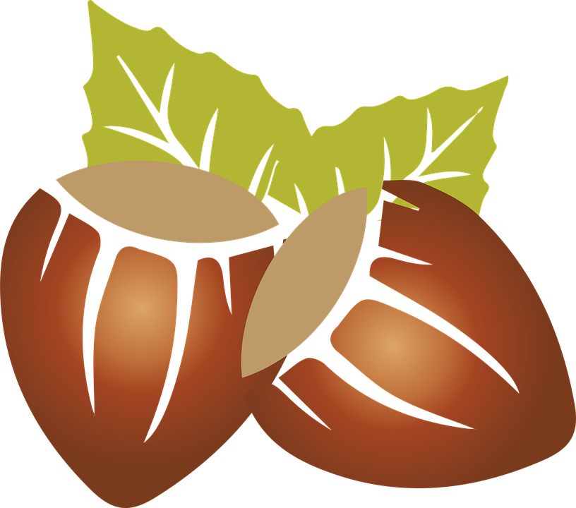 Almond Clipart Dry Fruit - Lieskový Orech Png (816x720)