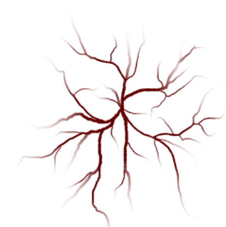 Red Veins - Veins Png (466x468)