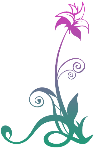 Spider Vein Removal - Spider Vein Removal (338x505)