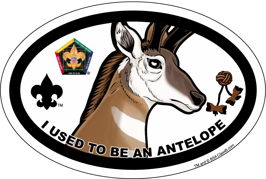 Categories - Wood Badge (903x607)