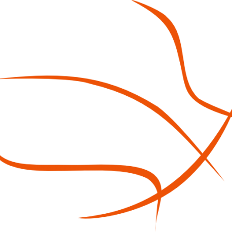 Spring Training Camp - Ball Black Basketball Png (458x458)