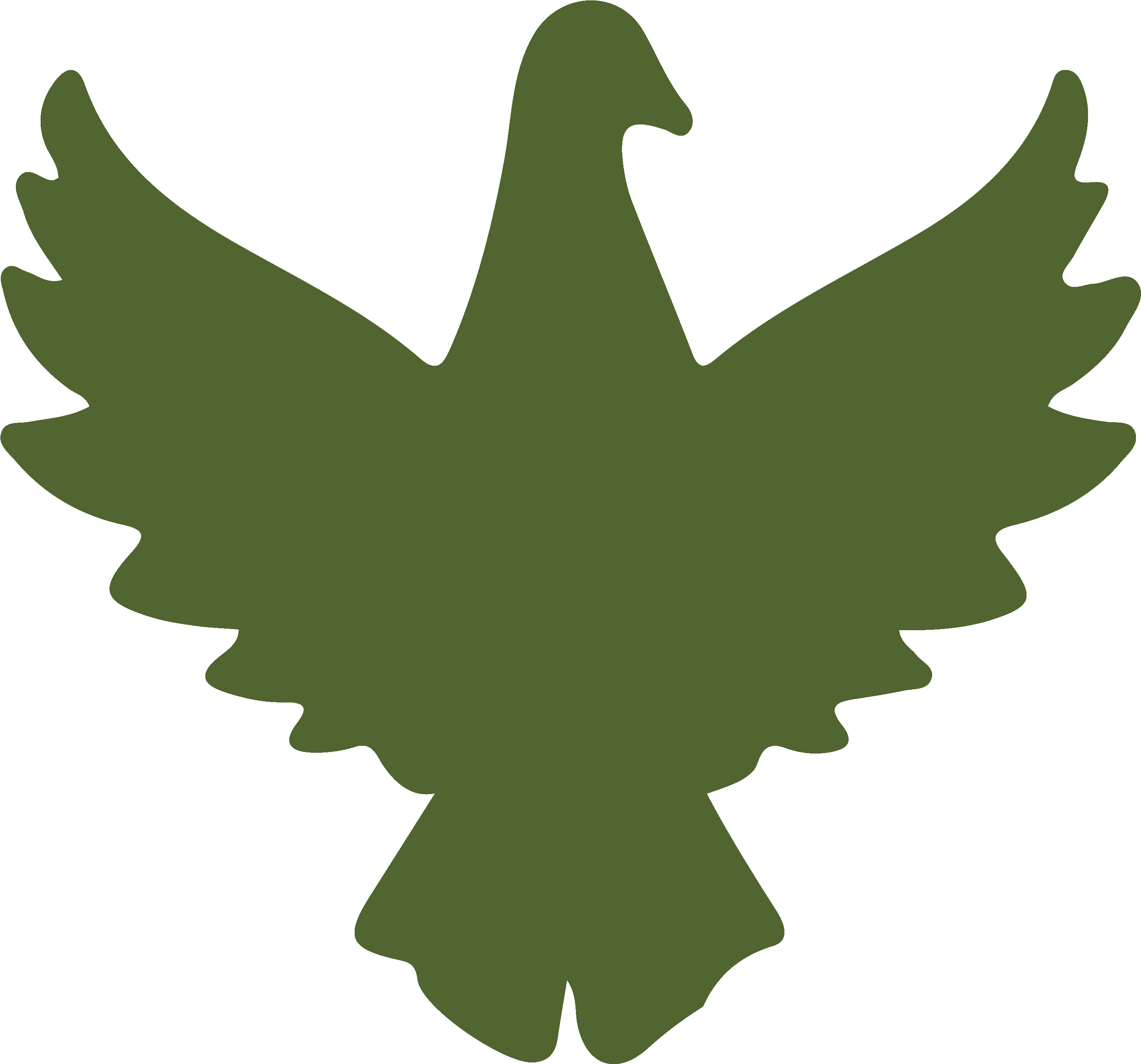 Bird Droppings Contribute To Aggravate Chronic Bronchial - Eagle (4500x3000)