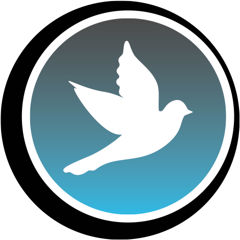 Why You Need Bird Control For Your Business Or Home - Gull (498x498)