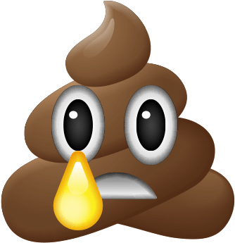 Poop Analyzer Messages Sticker-6 - Fidget Spinner Emoji Png (408x408)