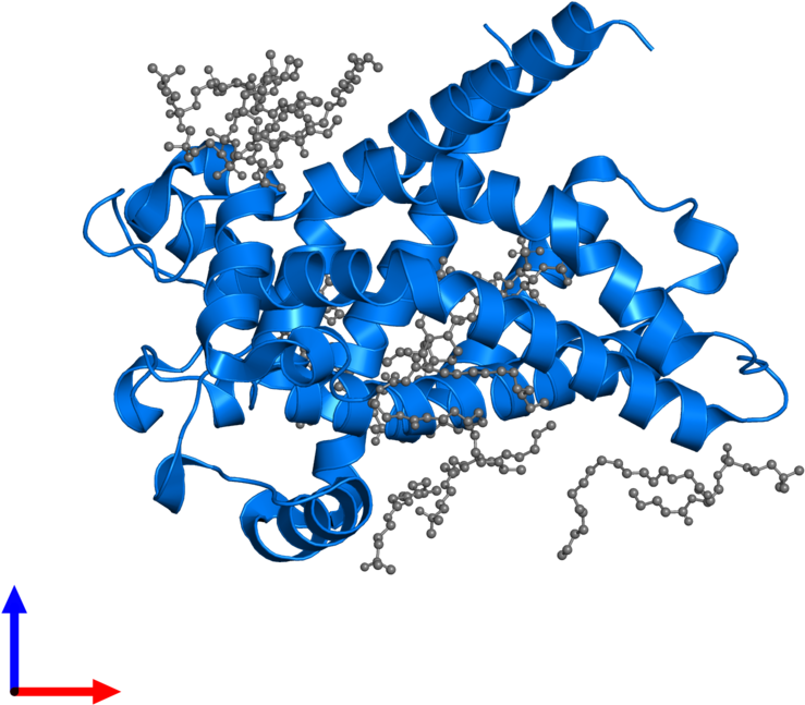 <div Class='caption-body'>pdb Entry 1okc Contains 1 - Graphic Design (800x800)