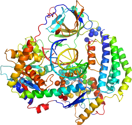 Probable Atp-dependent - Graphic Design (640x480)