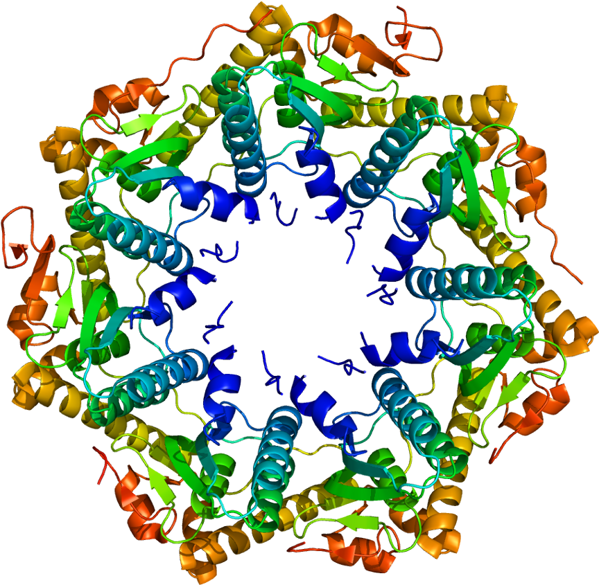 Clp Protease (913x894)