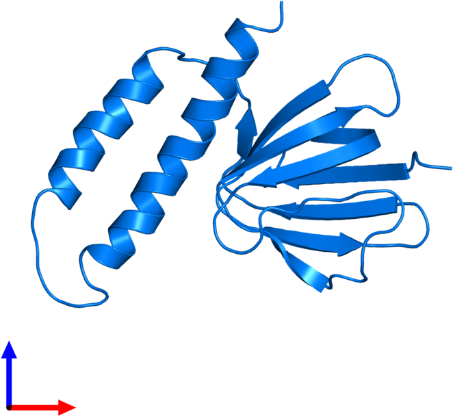 <div Class='caption-body'>pdb Entry 1bsn Contains 1 - Illustration (800x800)