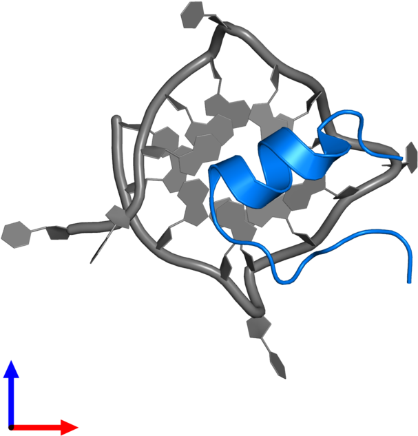 <div Class='caption-body'>pdb Entry 2n21 Contains 1 - Illustration (800x800)