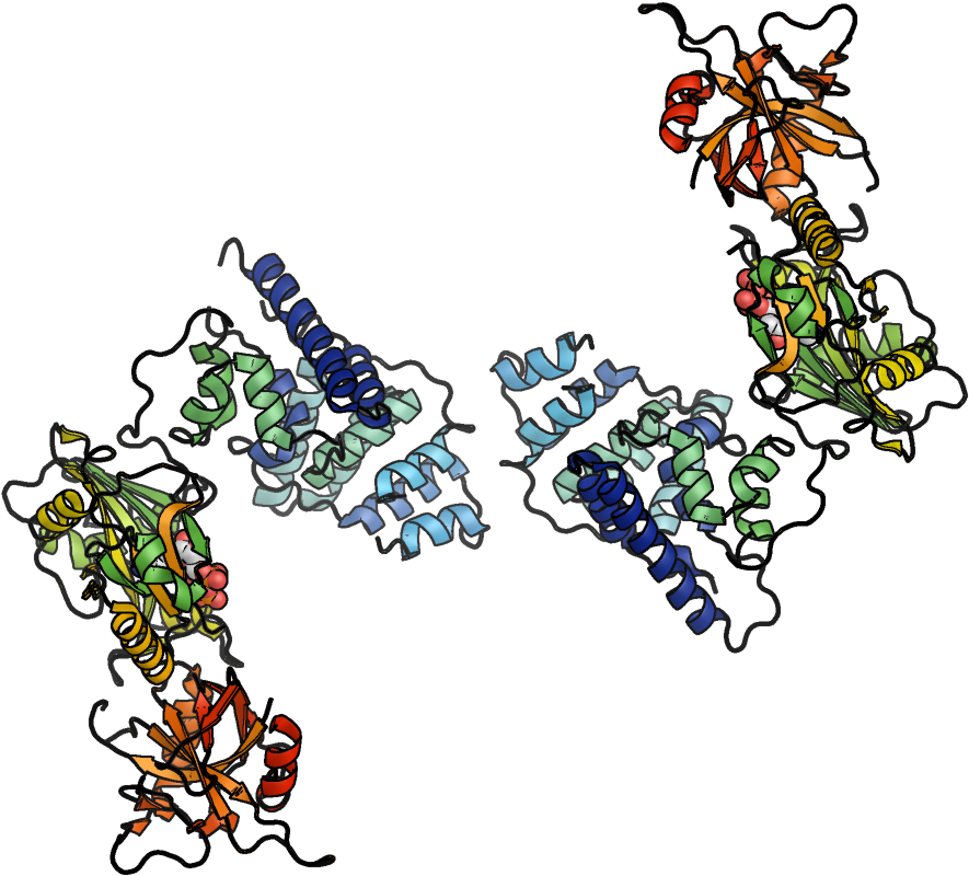 Human Dna Ligase Iv With Atp - Illustration (1059x811)