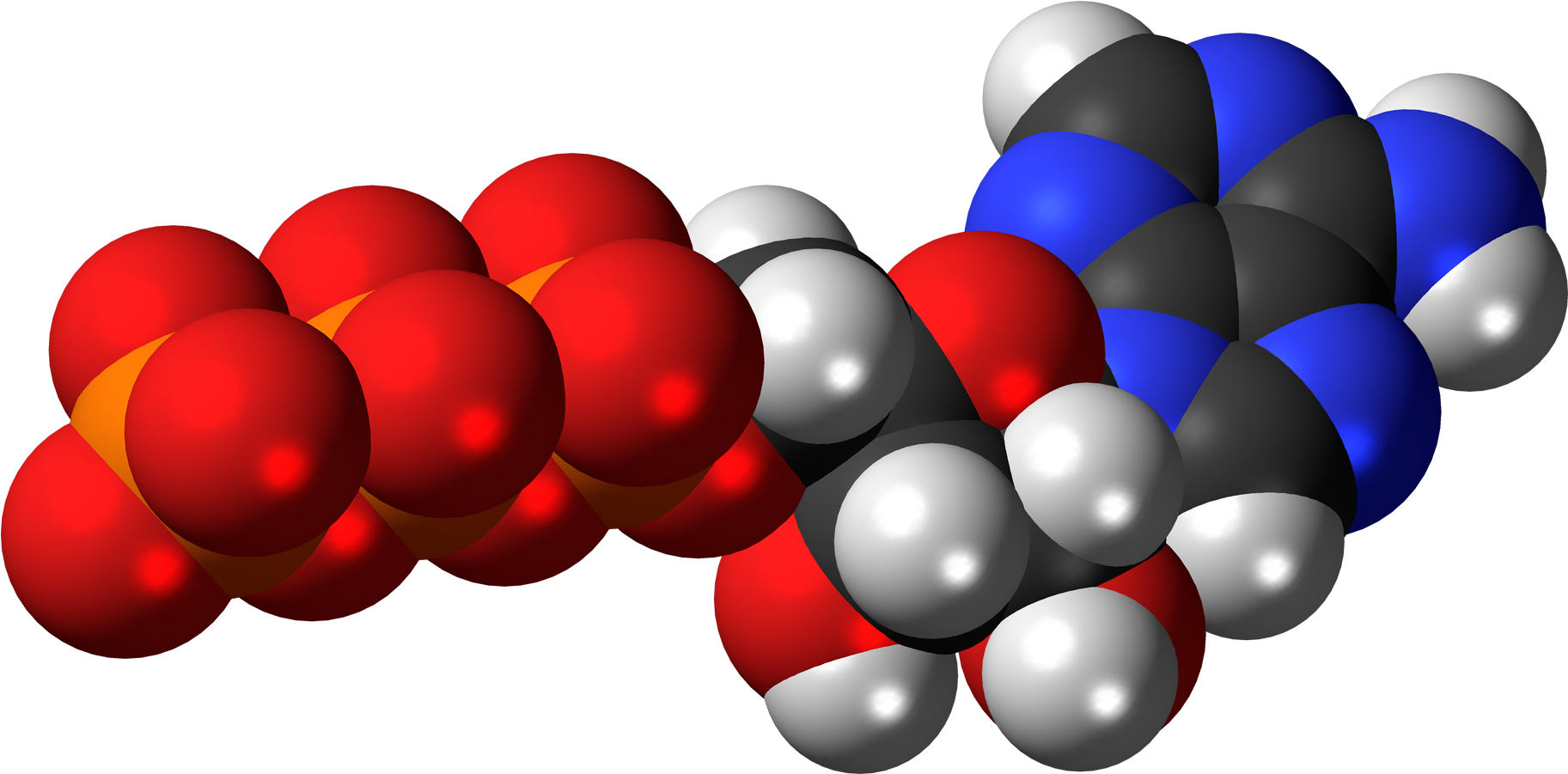 Adenosine Triphosphate Anion 3d Spacefill - 3d Model Of Atp Molecule (2000x1076)