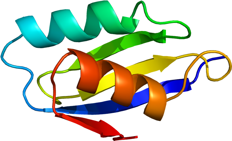Atp7a - Wilson's Disease Protein (856x541)