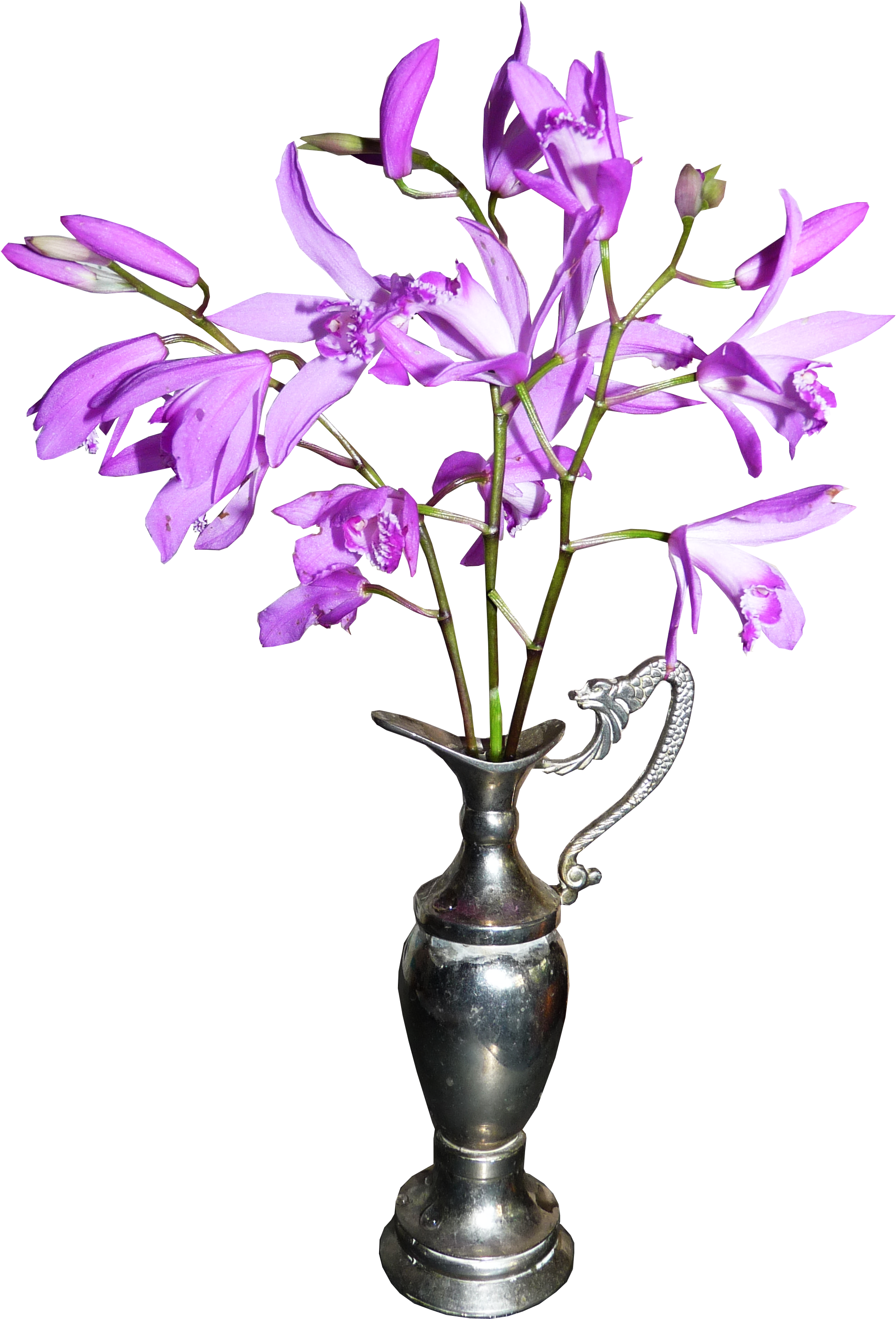 Orchid Image Purepng Free Transparent Image Library - Artificial Flower (2056x3126)