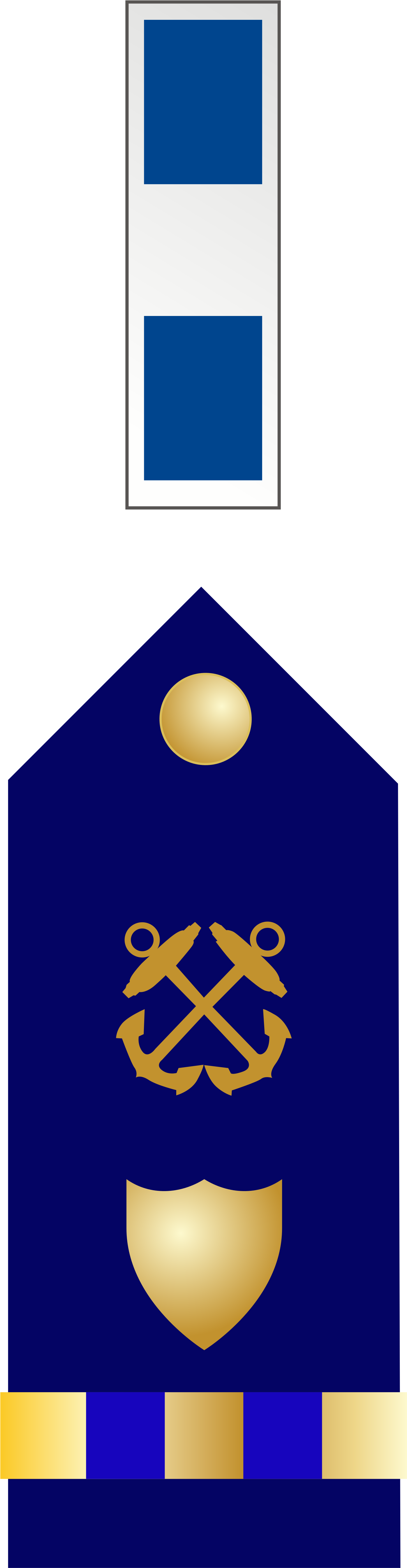 Uscg Cw3 Insignia - Navy Chief Warrant Officer 3 (2000x5600)