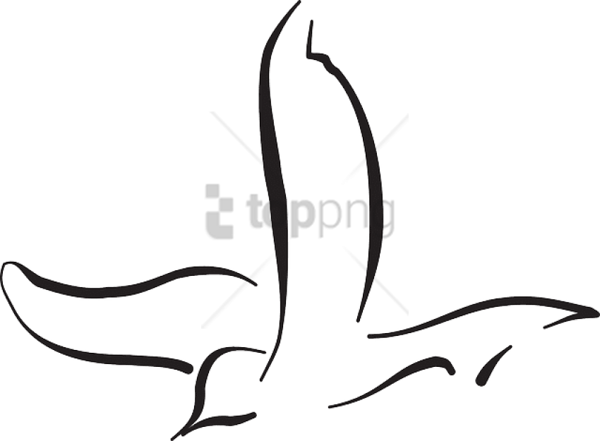 Free Png Download Flying Bird Line Drawing Png Images - Bird Vector Line Art (850x625)