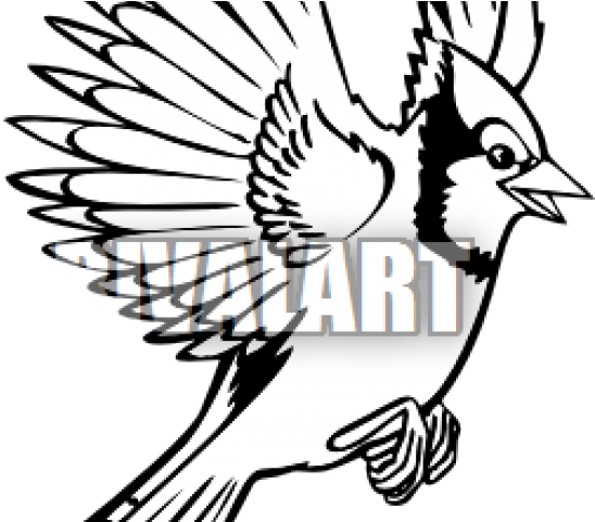 Jay Clipart Flying Blue - Jay Clipart Flying Blue (640x480)