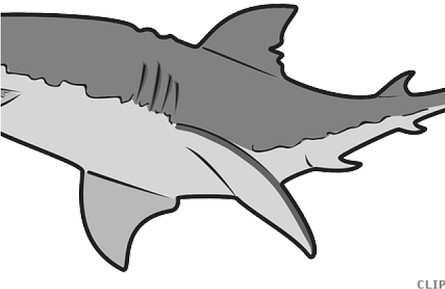 Shark Clipart Submarine - Transparent Background Shark Clipart (640x480)