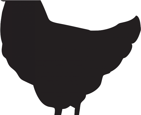 Chick Clipart Chicken Feather - Rooster (640x480)