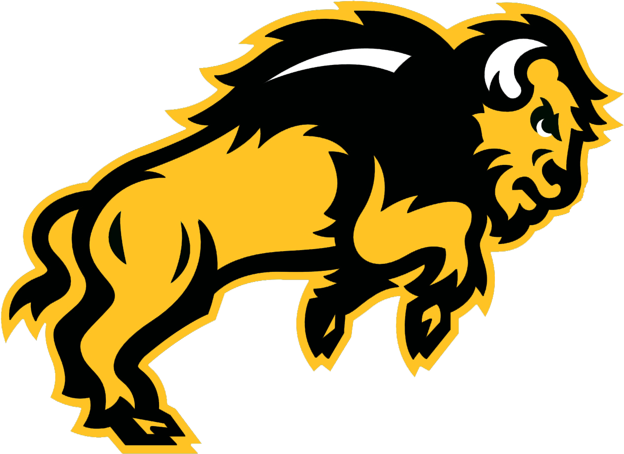 North Dakota State Bison (1298x929)