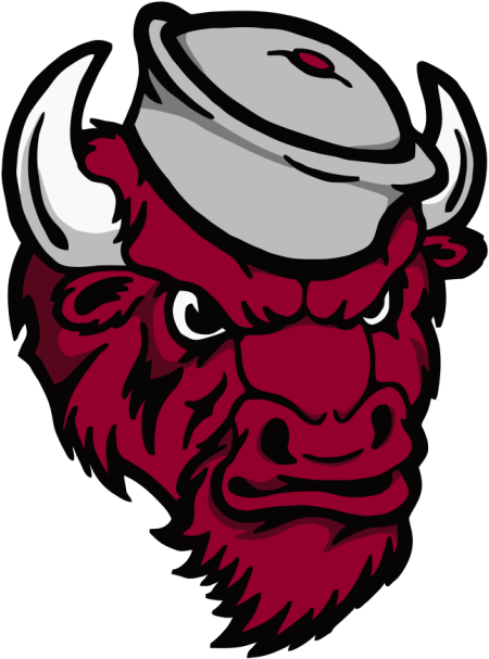 Bison Logo, Buffalo Logo, Sports Logos, Sign Design, - Illustration (494x639)