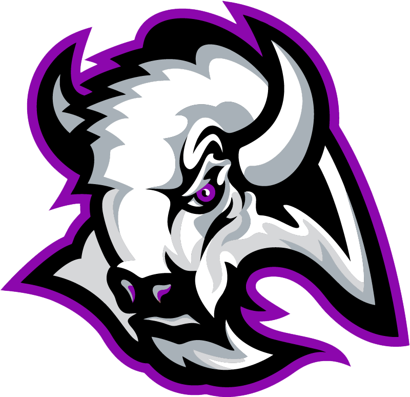 Parker Thundering Herd - Parker High School Logo (799x799)